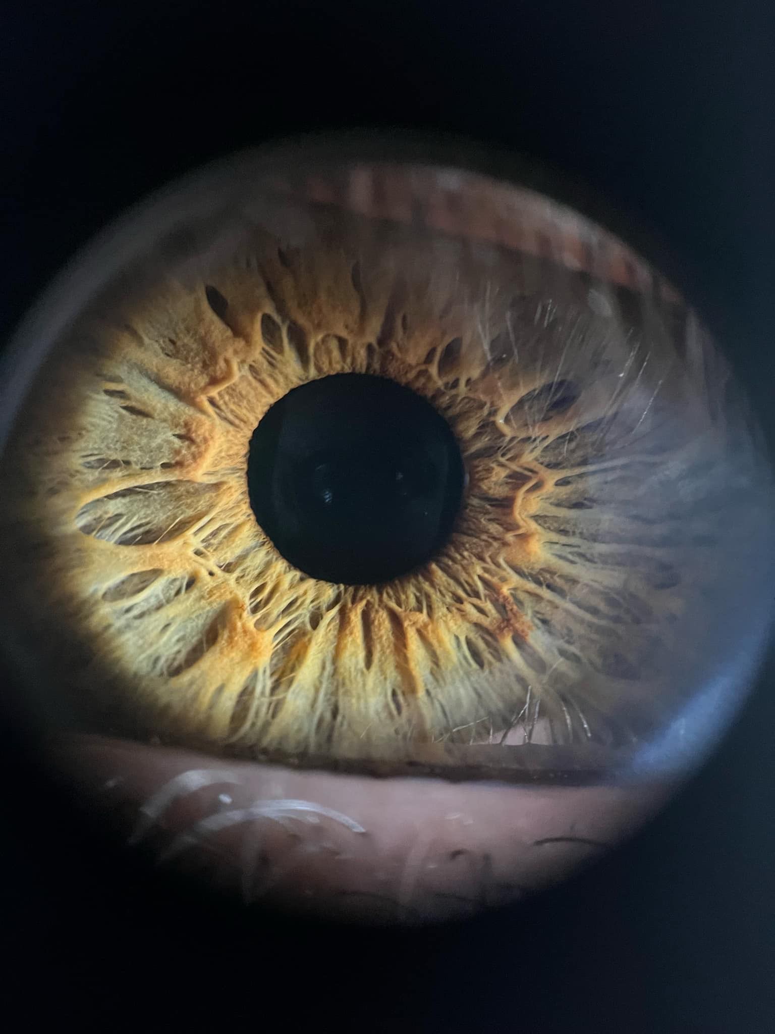 Detailed close-up of human iris showing intricate patterns and textures